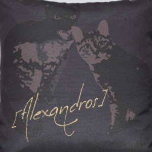 川上洋平,ソイ,ラテ