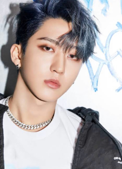 stray kids,チャンビン