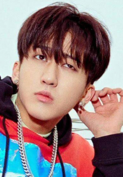 stray kids,チャンビン