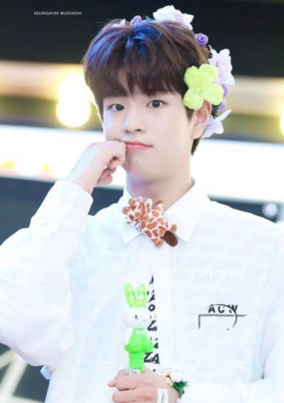 stray kids,スンミン