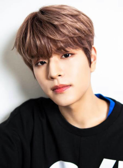 stray kids,スンミン