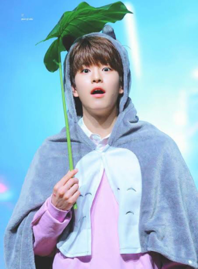 stray kids,スンミン