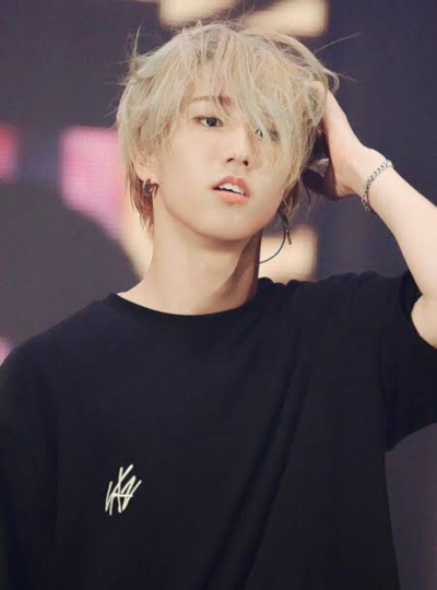 stray kids,ハン
