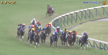 バスラットレオン,藤岡騎手