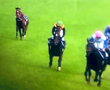 バスラットレオン,藤岡騎手