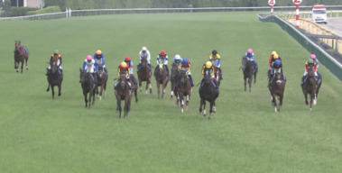 バスラットレオン,藤岡騎手